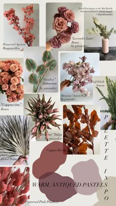 a collage of different types of flowers and plants