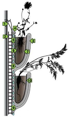 an image of a tree with leaves and branches labeled in green numbers on the bottom