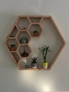 the shelves are filled with various plants and potted plants on top of each shelf