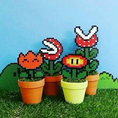 three potted plants sitting on top of a grass covered field next to each other