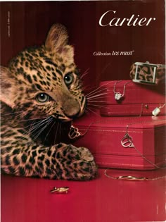 a magazine cover with a leopard on top of some red suitcases and other items