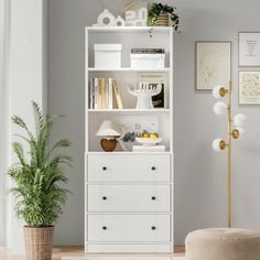 a living room with a white bookcase and potted plant on the floor next to it