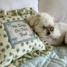 a small white dog laying on top of a bed next to a pillow that says, my dogs cry this bed