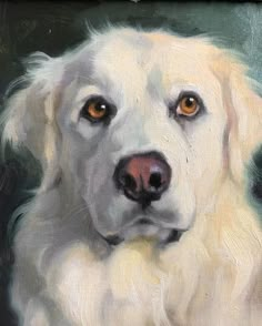 Katya Minkina, Jennifer Gennari, Baseboard Cleaner, Christ Gifts, Dogs Painting, Ink Animals, Paintings Of Dogs, Pet Portrait Art, Pet Portraiture