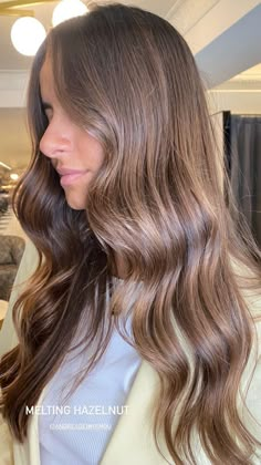 Honey Brown Ash Hair, Brown Hair Colors Neutral, Brown Hair Soft Balayage, Caramel Ash Brown Hair, Soft Brown Hair Color Natural, Light Rich Brown Hair, Light Brown Hair Dimension, Hazelnut Balayage Brunettes, Warm Mushroom Brown Hair