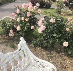 a white bench sitting in the middle of a garden filled with pink and white flowers