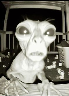 an alien is staring at the camera in this black and white photo