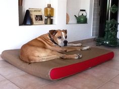 Orthopedic dog mat out of faux leather with felt. Dog Mattress, Day Bed, Foam Mats