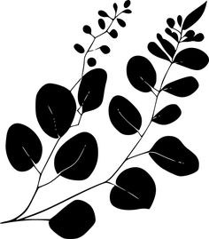 black and white silhouette of leaves on a branch