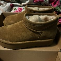 Bearpaw Live Life Comfortably. Platform Style Boot. Very Comfortable,Warm And Fashionable! Bear Paw, Bear Paws, Live Life, Bootie Boots, Ankle Boots, Women Shoes, Boots, Women Shopping, Color