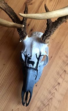 an animal skull with antlers on top of it