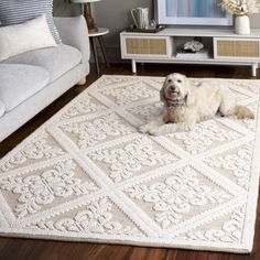 a dog laying on top of a rug in a living room