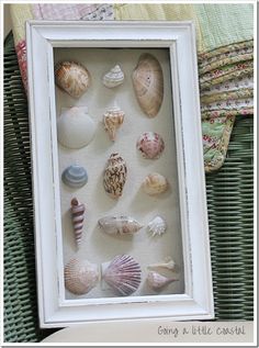 a white frame filled with sea shells sitting on top of a bed next to a pillow