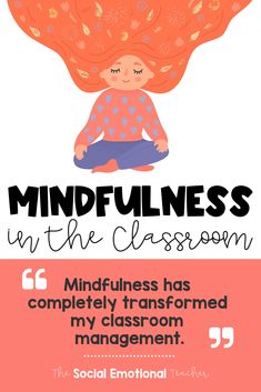 the mindfulness in the classroom poster with an image of a woman's hair