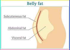 If you want to get rid of your belly fat you need to follow these steps to feel and look better and reduce other health symptoms. How To Get Rid Of Post Menopausal Belly, How To Get Rid Of Menopausal Belly, Fasting For Belly Fat Loss, How To Get Rid Of Gut Fat Lose Belly, How To Get Rid Of Belly Fat Woman, Premenopausal Diet, Meno Belly, Menopausal Belly, Reduce Belly Fat Workout