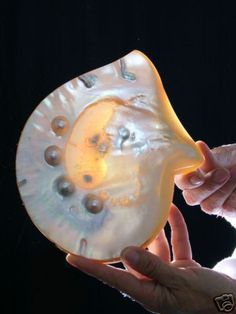 a person holding an object in their hand with water droplets on the inside of it