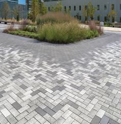 an empty parking lot in front of a building with grass and flowers on the ground