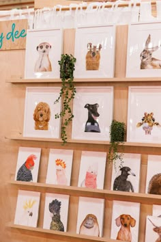 there are many pictures on the wall with dogs and cats in them, all hanging up