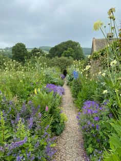 a path through a garden filled with lots of flowers