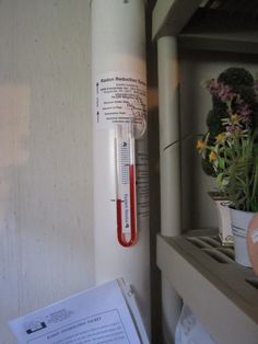 a thermometer sitting on top of a shelf next to a potted plant