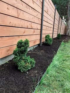 some plants are growing next to a wooden fence