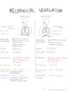 the diagram shows how mechanical ventilation works in different areas of the body, including breathing and breathing