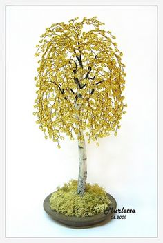 a small tree with yellow leaves on it