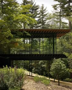 a house in the woods surrounded by trees and bushes with a walkway going up to it