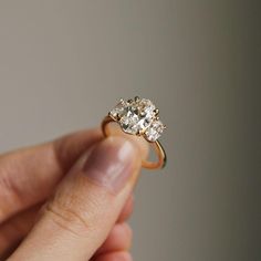 a person holding an engagement ring in their hand