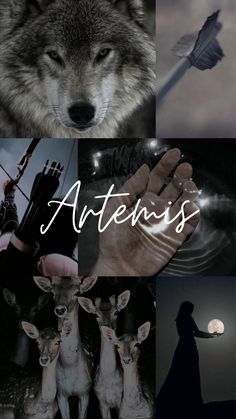 a collage of different pictures with the words,'antenis'in white letters