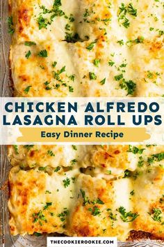 chicken alfredo lasagna roll ups are an easy dinner recipe