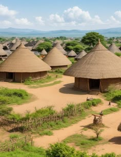 an aerial view of some huts in the wild