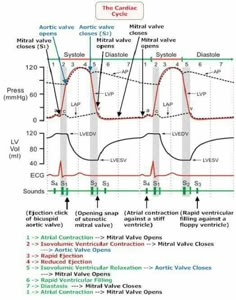 a diagram showing the various stages of an active cycle and how it is used to perform