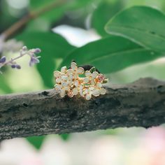 Crafted from exquisite Osmanthus Fragrans and enamel, this sublime ring evokes the timeless beauty of art and literature. An exclusive piece of jewelry, it is a reminder of timeless elegance that illuminates the wearer with a classic, luxurious aura. DETAILS Plating: 18K Gold Materials: 18K Gold on Brass, Enamel Size:  Adjustable, 0.47"*0.55"(12mm*14mm) Weight:  4.2g Hypoallergenic design Gold Enamel Wedding Rings, Enamel Gemstone Rings For Wedding, Gold Enamel Ring For Wedding, Wedding Rings With Gemstone And Enamel, Yellow Gold Enamel Gemstone Ring For Wedding, Gold Enamel Wedding Ring Fine Jewelry, Enamel Open Rings For Wedding, Gold Enamel Flower Ring For Anniversary, Flower Shaped Enamel Jewelry For Wedding