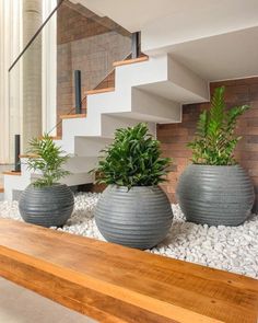 three large planters sitting on top of a wooden bench next to a stair case