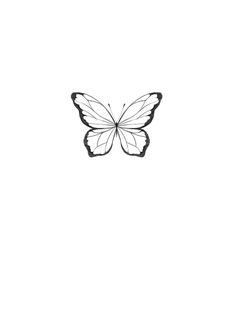 a black and white photo of a butterfly