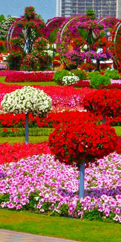 many different types of flowers in the park