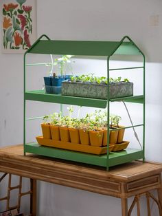 three tiered green house with plants growing in pots on the top and bottom shelf