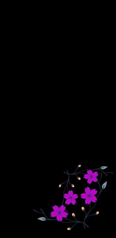 a black background with purple flowers on it