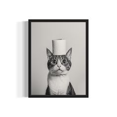 a black and white photo of a cat with a hat on it's head