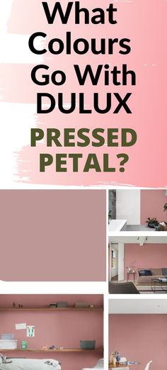 what colours go with dulux pressed petal? and how to use it in your home