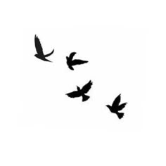 three birds flying in the air with their wings spread out and one bird is black