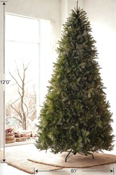 National Tree Company Artificial Full Christmas Tree, Green, Dunhill Fir, Includes Stand, 12 Feet Full Christmas Tree, Christmas Tree Green, Green