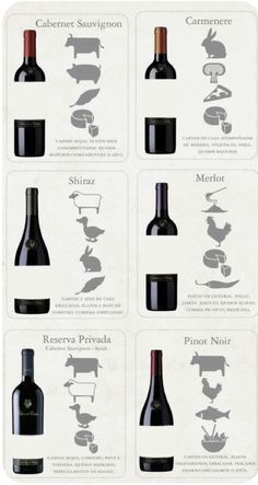 wine bottles and their names are shown in this graphic diagram, which shows the different types of