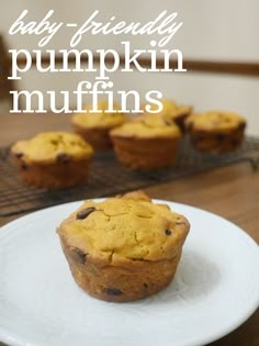 a muffin on a plate with the words baby - friendly pumpkin muffins