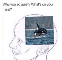 an orca jumping out of the water in front of a man's head