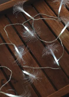 some white feathers are on a wooden table with string lights in the shape of hearts