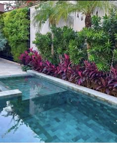 an outdoor swimming pool surrounded by plants and trees