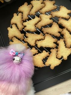 a dog toy next to some cookies on a rack