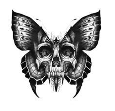 a black and white image of a butterfly skull with wings on it's head